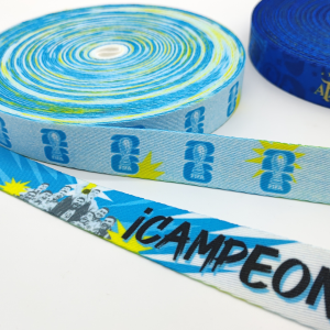 detalle correa argentina campeon